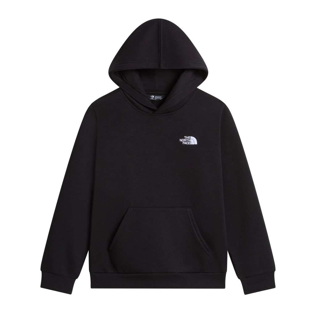 The North Face Teens' Evolution Simple Dome Pullover Hoodie