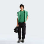The North Face Teen Evolution Simple Dome SS Tee