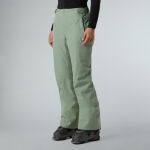 The North Face Descendit Pant W