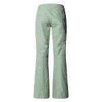 The North Face Descendit Pant W