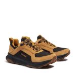 Timberland Motion Ledge Low Sneaker