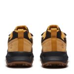 Timberland Motion Ledge Low Sneaker