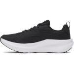 Under Armour W Assert 11
