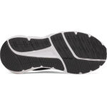 Under Armour W Flx Tr