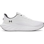 Under Armour Ascend
