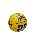 Wilson Nba Player Icon Mini