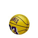 Wilson Nba Player Icon Mini