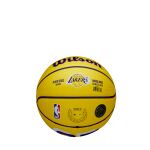 Wilson Nba Player Icon Mini