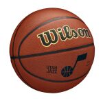 Wilson Nba Team Alliance