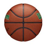 Wilson Nba Team Alliance