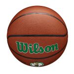 Wilson Nba Team Alliance