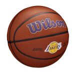Wilson Nba Team Alliance