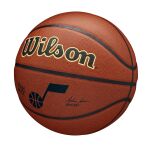 Wilson Nba Team Alliance