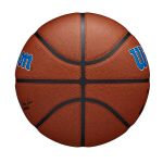 Wilson Nba Team Alliance