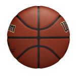 Wilson Nba Team Alliance