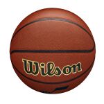 Wilson Nba Team Alliance