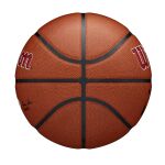 Wilson Nba Team Alliance