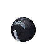 Wilson Nba Player Icon Mini
