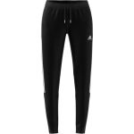 adidas Tiro 21 Track Pant W