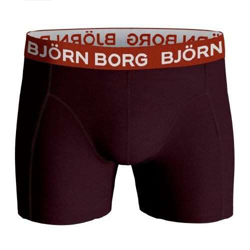 bjorn borg boksör