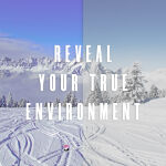 Bliz Matrix Nordic Light