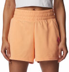Columbia Logo III French Terry Shorts W