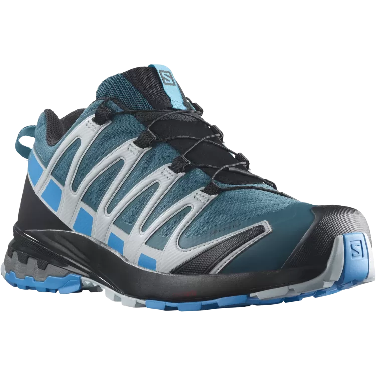 Salomon XA PRO 3D V8 GTX M